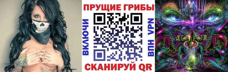 Псилоцибиновые грибы Psilocybe  Стерлитамак 